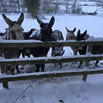 Barnabrow * Killinagh