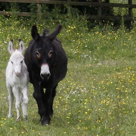 בית כפרי Barnabrow