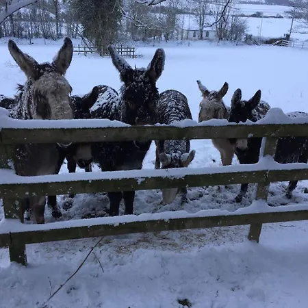 Barnabrow * Killinagh