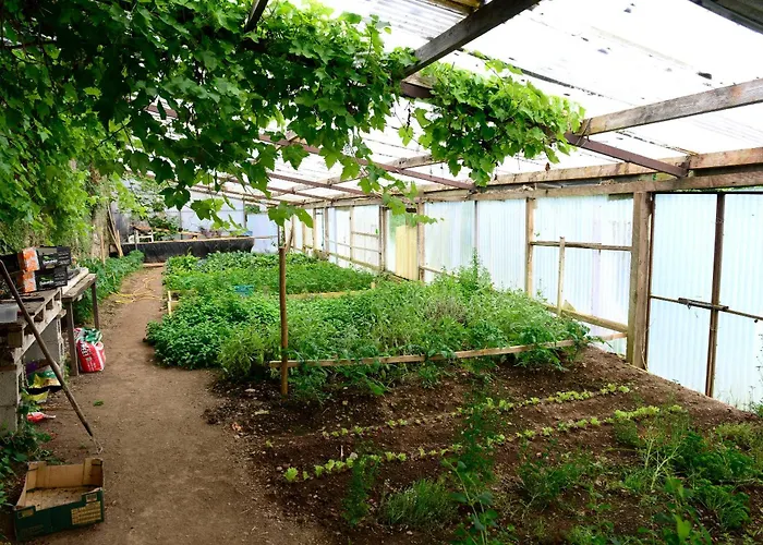 Barnabrow * Killinagh