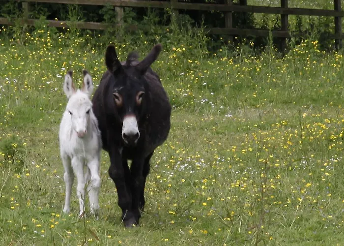 Hétvégi ház Barnabrow