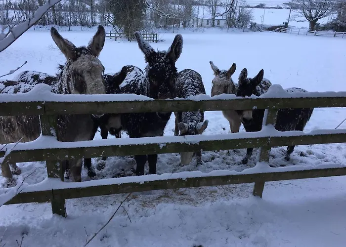 Barnabrow * Killinagh